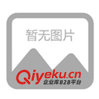 XRNP-3.6KV電壓互感器保護(hù)用熔斷器